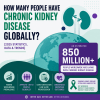 How Many People Have Chronic Kidney Disease Globally? [2025 Statistics, Data & Trends]