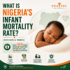What Is the Life Expectancy in Nigeria? [2025 Statistics]