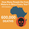 How Many People Die from Malaria in Africa Every Year?